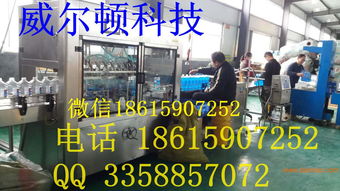 威爾頓科技 優質生產廠家、合理價格與技術轉讓全解析